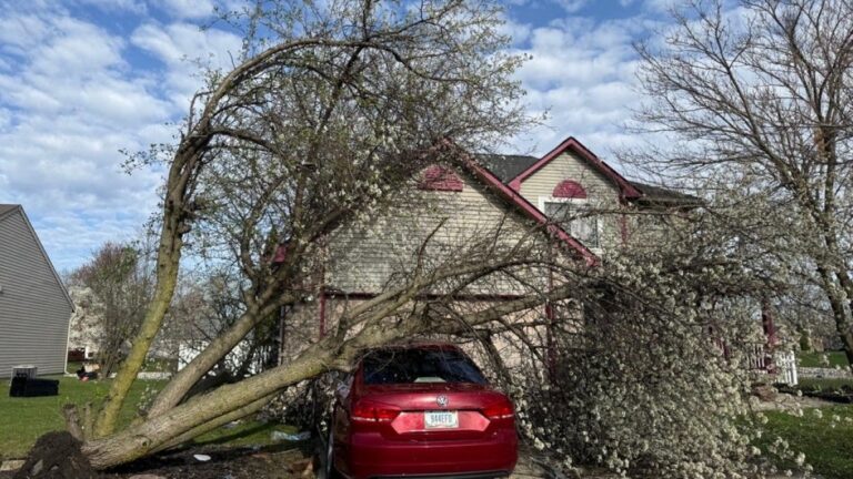 At least two dead as severe weather sweeps US South and Midwest | Weather News