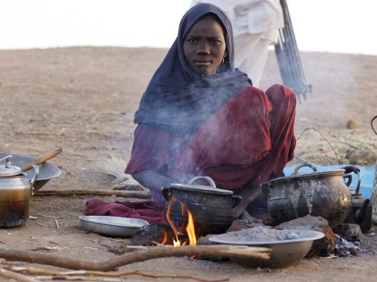 Forced displacement in Sudan’s North Darfur overwhelming aid operations: UN | Sudan war News
