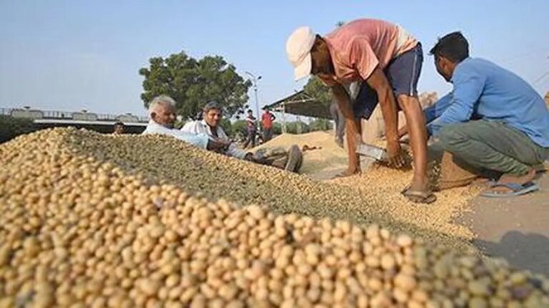 Solvent extractors urge Commerce Ministry to revive non-GMO soya export to US as part of proposed BTA