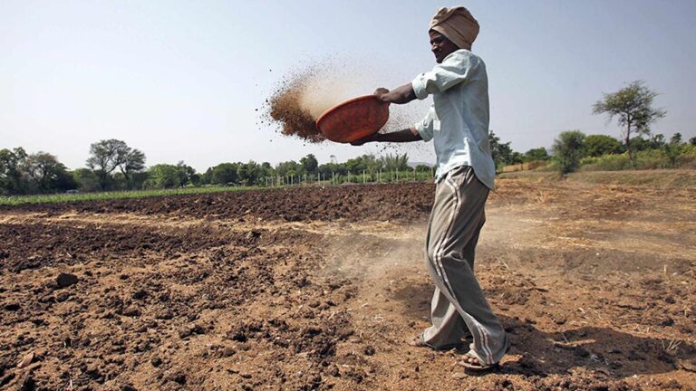 RSS affiliate BKS wants a full stop on cultivation of GM crops