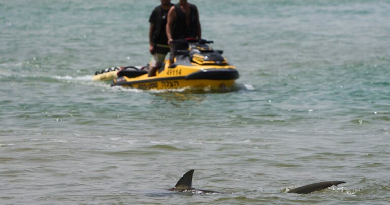 Shark attack victim’s remains found in waters off popular beach in Israel after 2-day search